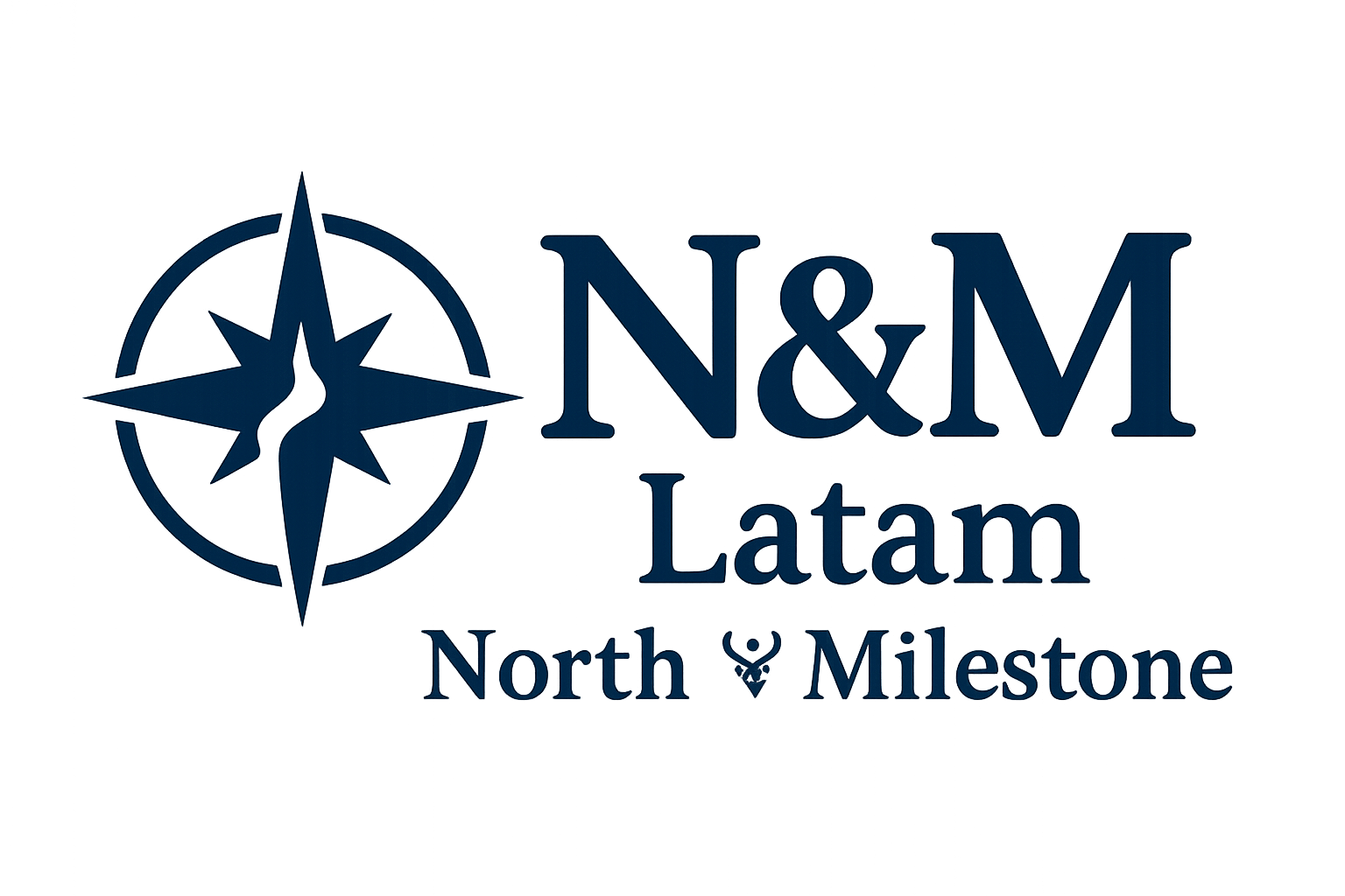 N&M Latam Consulting